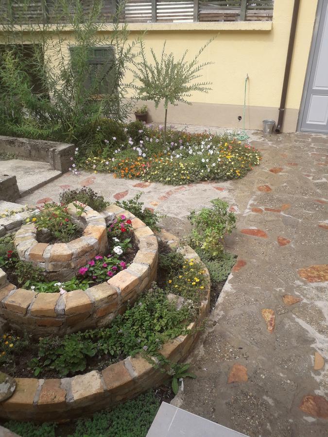 Mosaique Casa Apartment Belgrad Exterior foto